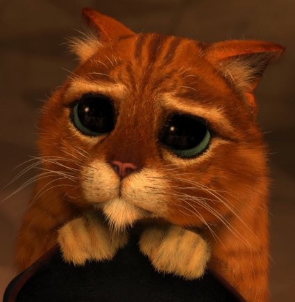 Pēc tavām domām, ar emocijā visbagātākā bilde ir? (: