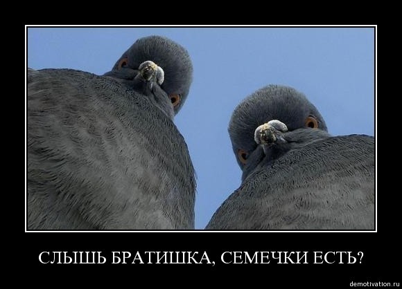 Покажите недоумение!