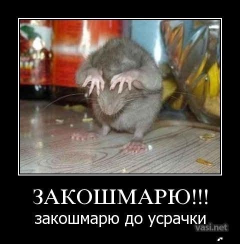 На кого Вы похожи , когда злитесь?