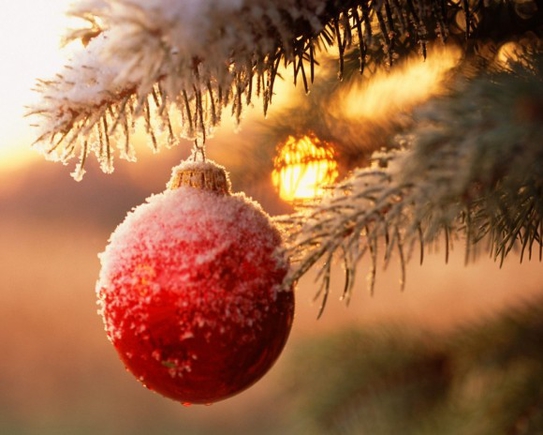 Приятная вашему глазу-зимняя(рождественнская,новогодняя)картинка?