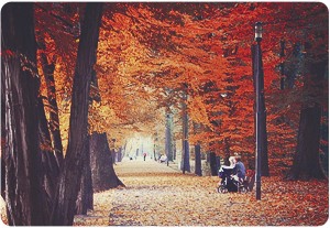 Покажите эту осень в Латвии?