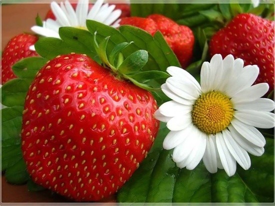 Покажите пожалуйста красивые ягоды?