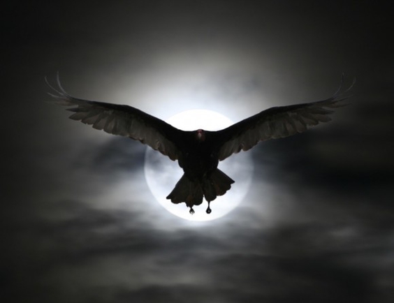Покажите ужас летящий на крыльях ночи? (с хеловином вас!)