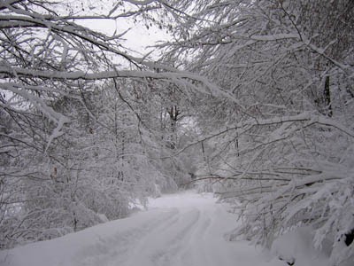 Покажите очень красивые картинки с зимний погодой,или мандаринчиками? =))))