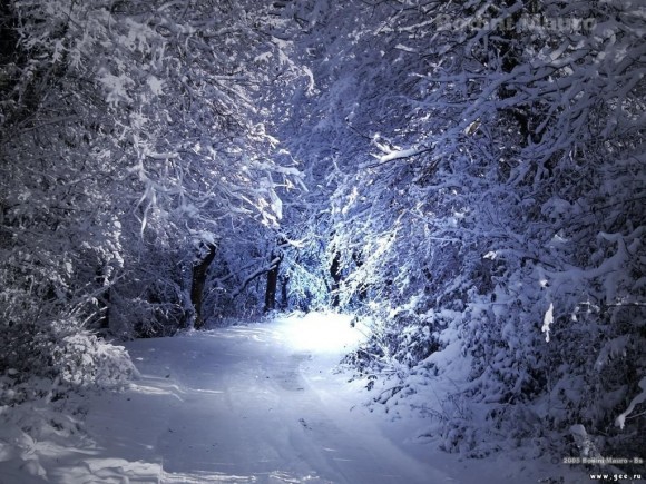Покажите очень красивые картинки с зимний погодой,или мандаринчиками? =))))