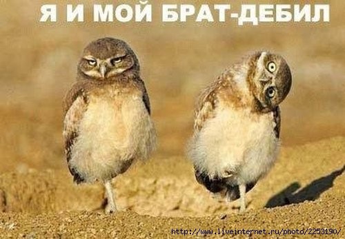 paraad savu miillaako bildi!;)