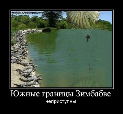 поднимите настроение смешной картинкой
