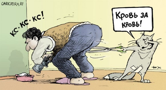 поднимите настроение смешной картинкой