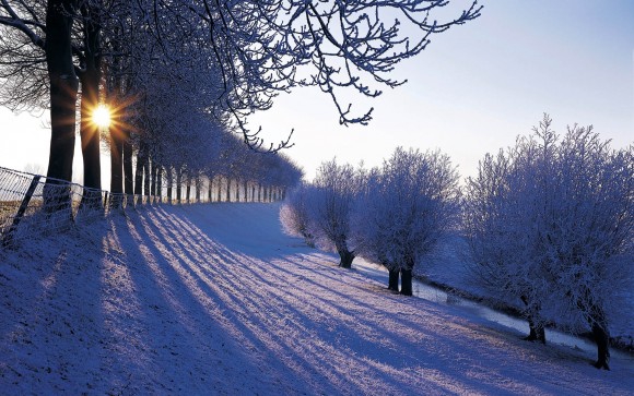 Красивая, по-настоящему Зимняя фото-картинка:).....