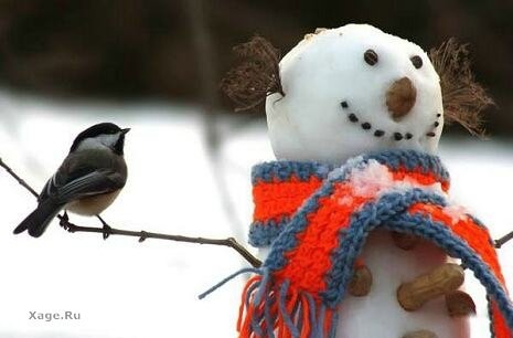 что снеговику можно установить вместо морковки , на место где нос  ?