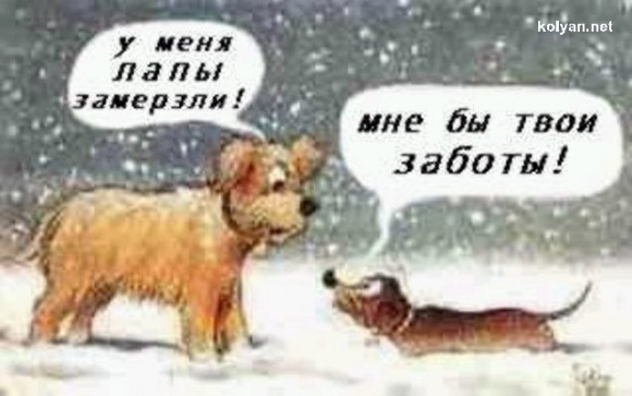 Покажите в на фото, как вы живете?