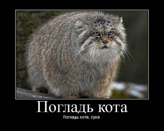 Фото самого милого животного, которого вы только видели?))) 
