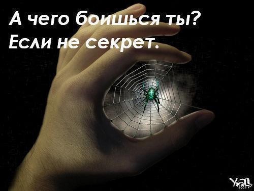 Любите паучков? :-)