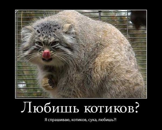 Агрессивные картинки в студию