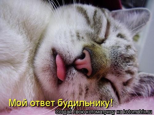 Ваш ответ будильнику?