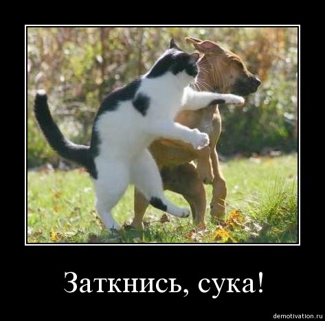 Ваш ответ будильнику?