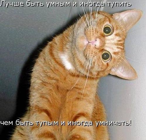 какое вы животное?