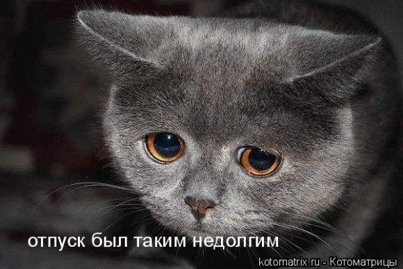 О чем ты сейчас  думал(ла)?
