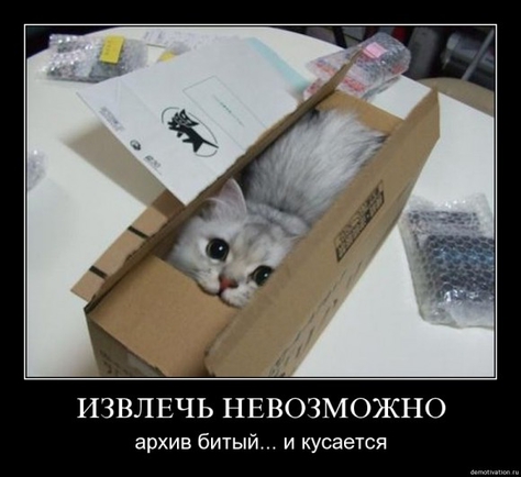 какое вы животное?