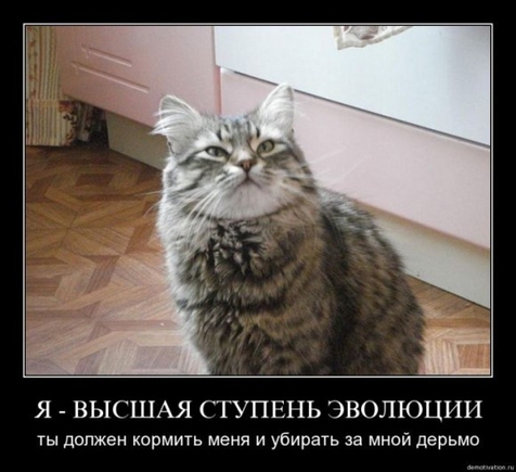Покажите на кого вы сейчас похожи или с кем осациируете себя?