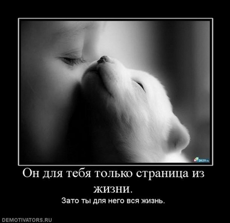 Есть картинки грустные? Желательно демотиваторы