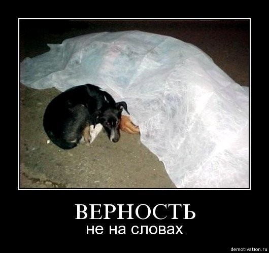 Есть картинки грустные? Желательно демотиваторы