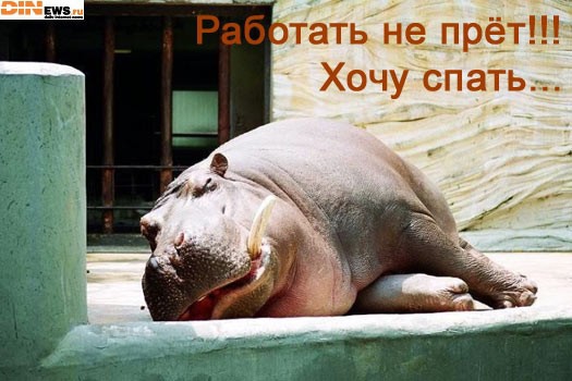 что ты хочешь???