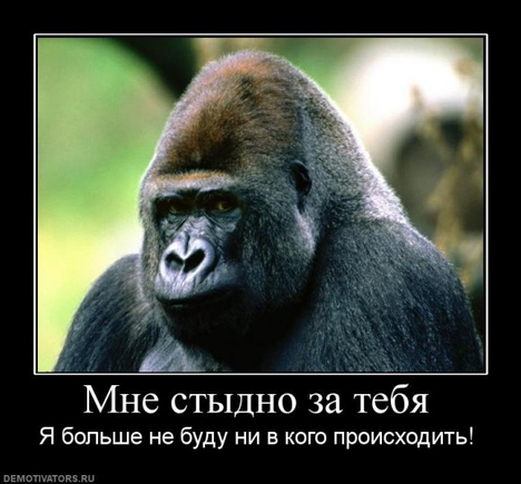 Есть картинки грустные? Желательно демотиваторы