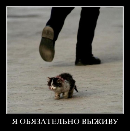Есть картинки грустные? Желательно демотиваторы