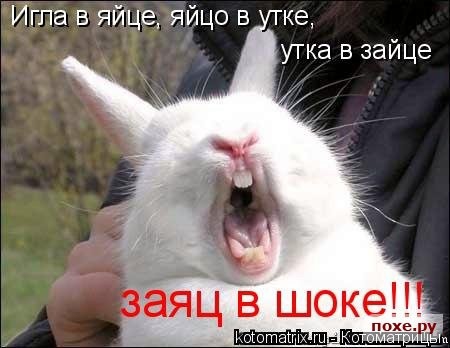 покажите шок?