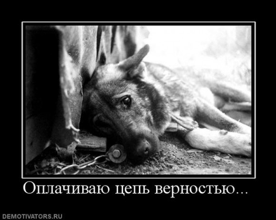 Есть картинки грустные? Желательно демотиваторы