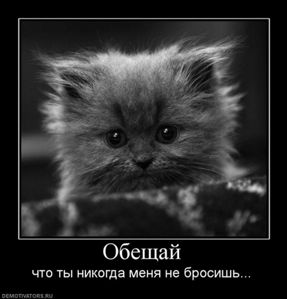 Есть картинки грустные? Желательно демотиваторы