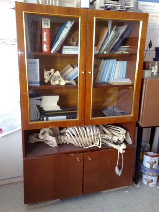 Покажи своего скелета в шкафу?