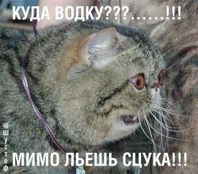 Как выглядит звук?