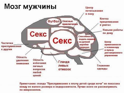 Что у мужчин все время... НА УМЕ? ))