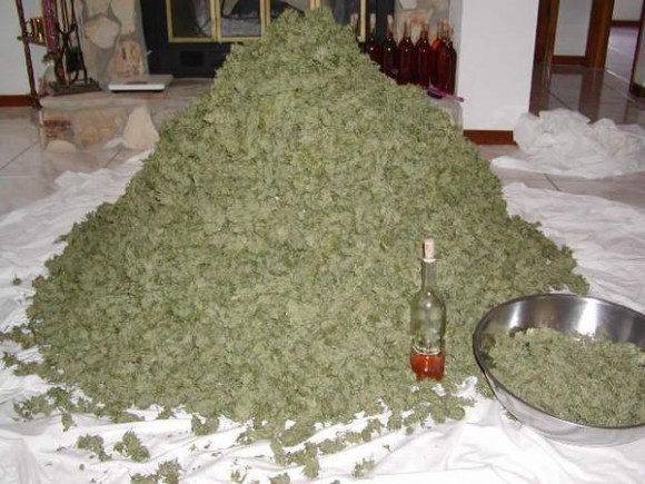 Cau novelejums pasam sev
