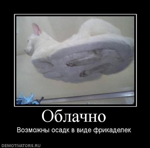 Какая Ваша любимая фотография?