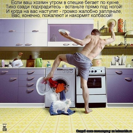 чего не хватает у тебя на кухне ?