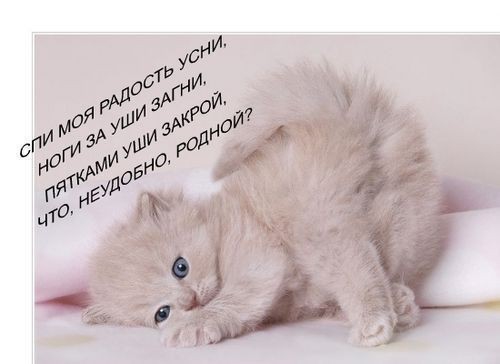 Что может улыбнуть?