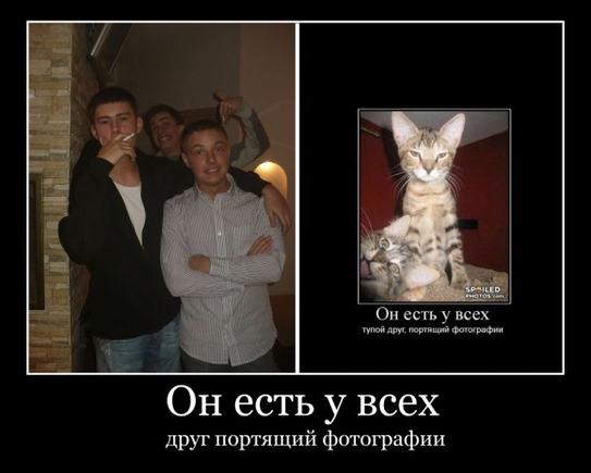 Какая Ваша любимая фотография?