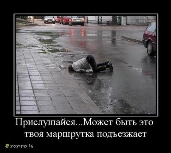 Киньте сюда картинки, которые вас улыбнули?