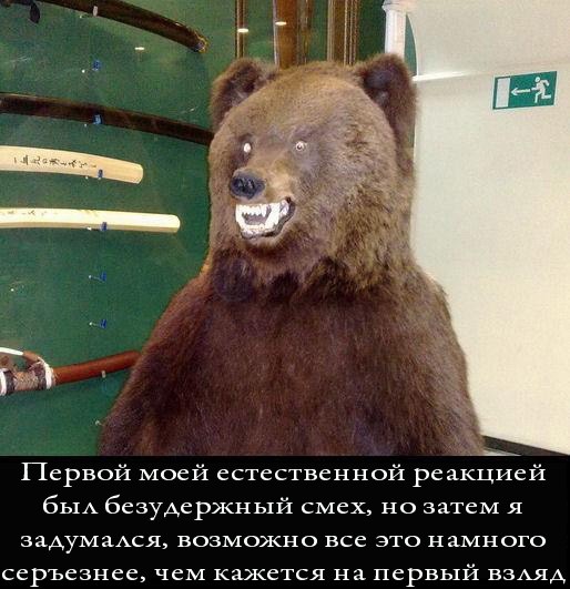 Киньте сюда картинки, которые вас улыбнули?