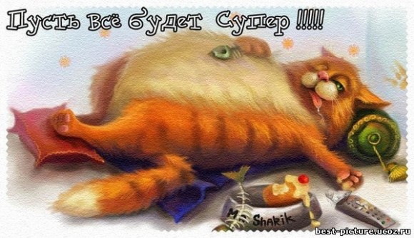 Что вы делаете на даный момент! Фоткой покажите! ))