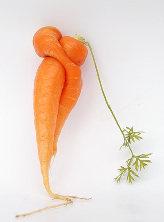 Покажите красивую морковку? Х))))