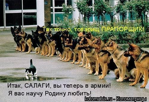 Покожите мне картину над которой вы смеялись минимум 10 сек. ? :D