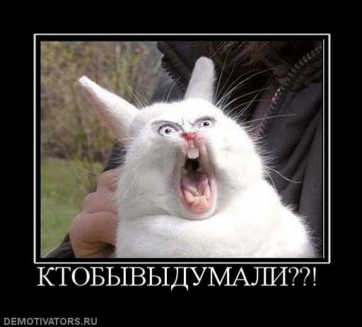 Кто на вас смотрит?