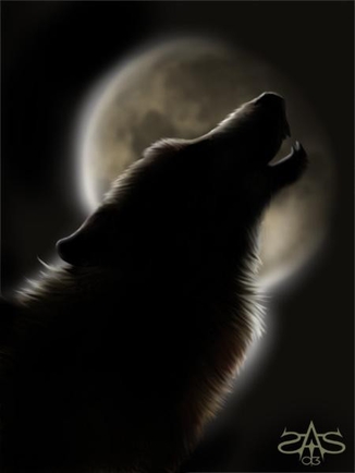 покажите эскиз головы волка, воющего на луну?