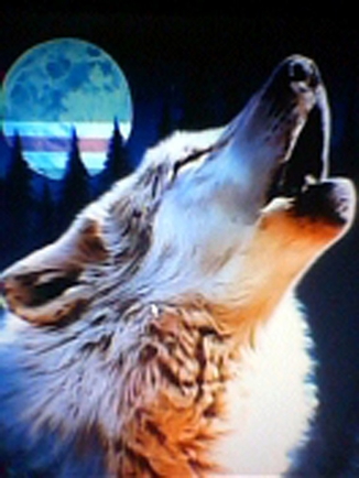 покажите эскиз головы волка, воющего на луну?