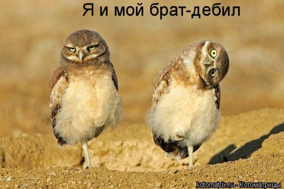 У вас есть фотка, на которой есть Вы и дерево?