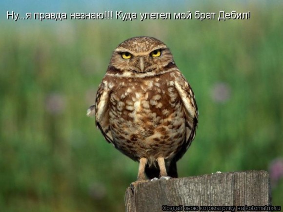 Как вы себя сейчас чувствуете? (фото)